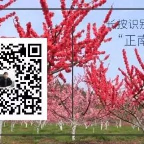 川北民間傳統文化紀錄片《川北舊事》第十七集 —《 打夯號子》